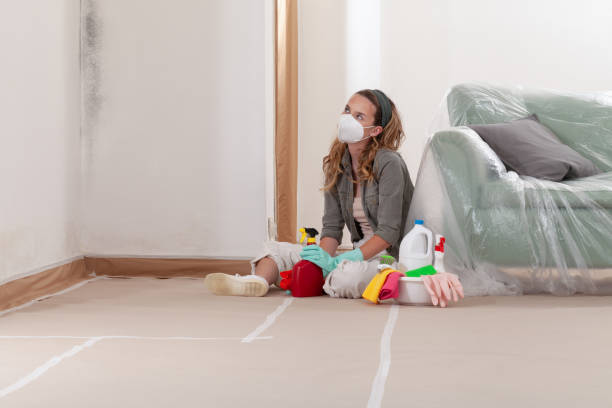Reliable Mold Testing contractor in Grawn, MI by WQB Mold Removal
